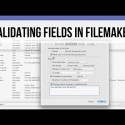 Validating Fields – User Entry in FileMaker