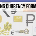 FileMaker 14 Training | Changing Currency Formatting in FM Starting Point