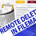Remote Deletion in FileMaker