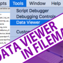 Using Data Viewer in FileMaker