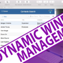 Dynamic Window Management