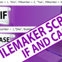 FileMaker Scripts – ‘If’ and ‘Case’ Script Steps for Beginners