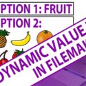 Dynamic Value Lists in FileMaker