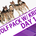 FileMaker Wolfpack with Kristian – Day 1