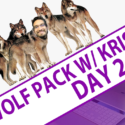 FileMaker Wolfpack with Kristian – Day 2
