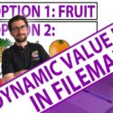 FileMaker Dynamic Value list – with Calvin Mosiman