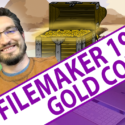 FileMaker 19.2.2 – Hidden Gold Coins in the Desert
