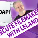 Execute FileMaker Data API