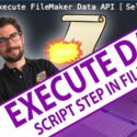 Using the Execute FileMaker Data API to Create and Delete Records